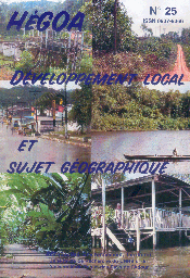 Développement local et sujet géographique